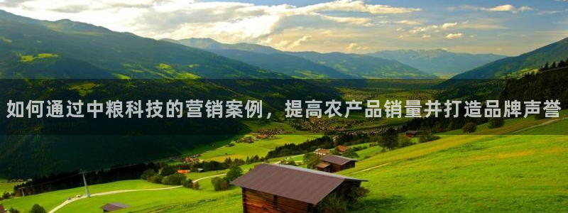 金年会官方网站入口登录手机版