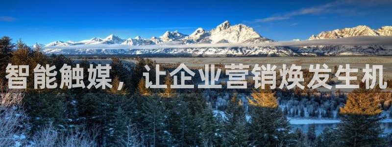 金年会网页版在线登录官网