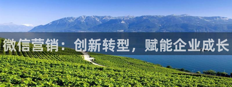 金年会手机版登录