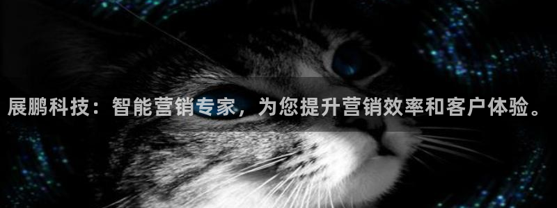 金年会网登录平台入口