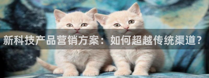 金年会官方登录入口网址