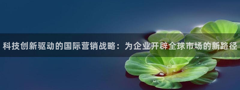 金年会体育平台官网下载app