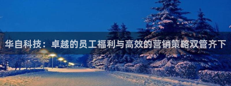 金年会电子官网