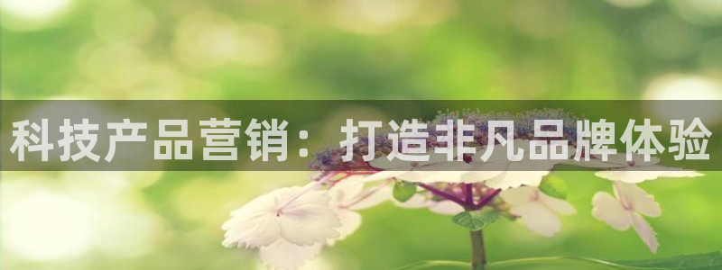 金年会平台官网