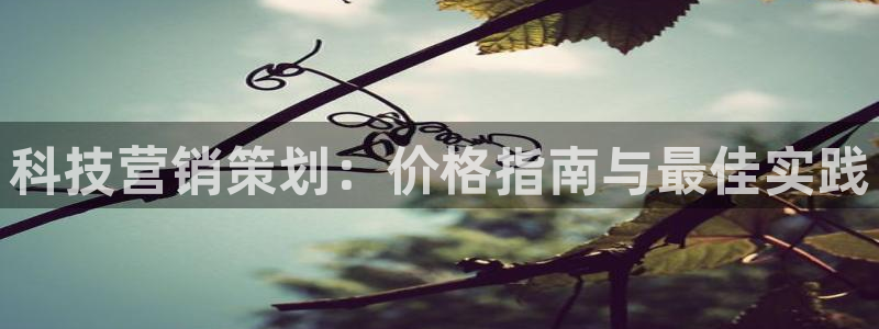 金年会网站入口