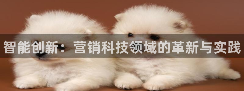 金年会金字招牌信誉至上