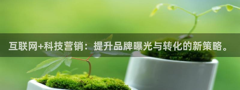 金年会电子官网下载