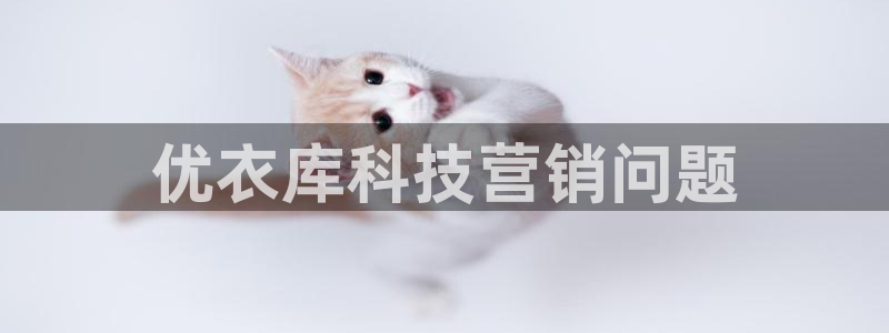 金年会体育登入入口